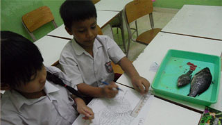 fasilitas ksatriabangsa